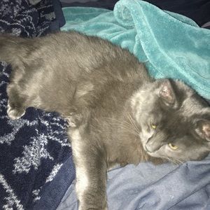 Meet your Posher, Shae